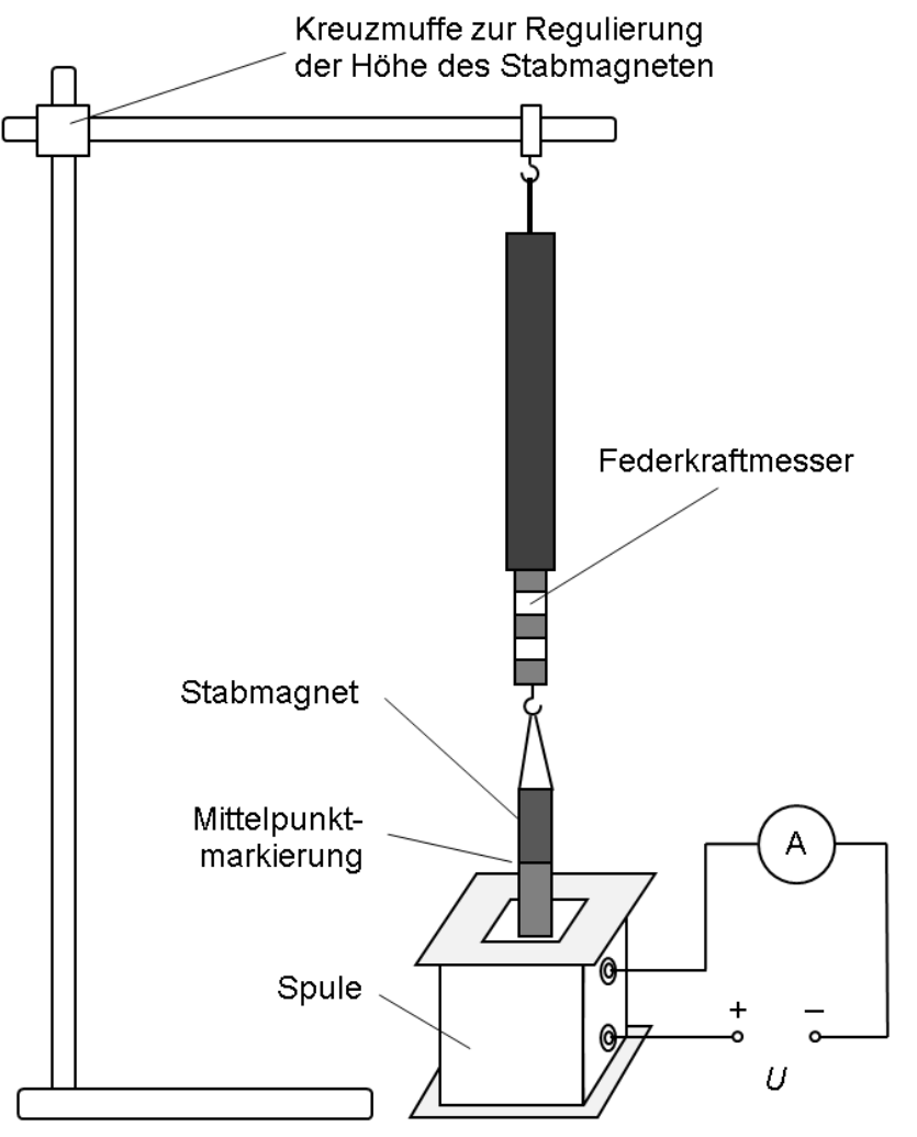 Versuchsaufbau: Stativ mit hängendem Stabmagnet über einer Spule, Federkraftmesser und Messkreis.